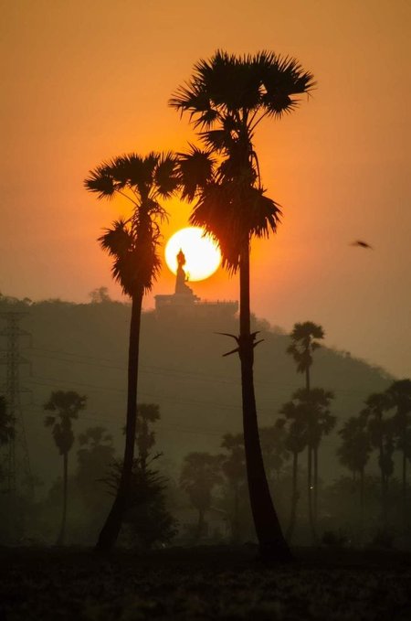 A vibrant orange sunrise silhouette featuring tall palm trees framing the sun, with a distant temple and a bird in flight.