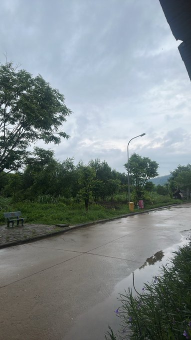 Outdoor scene of a wet road after rain with puddles reflecting the cloudy sky, lined with green trees, bushes, and a street lamp.