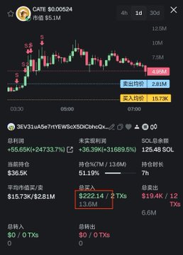 The image shows a trading dashboard for $CATE (price $0.00524, 1d timeframe) with a candlestick chart, market cap of 12.9M, and on-chain metrics displaying a holder "3EV31uA5e7rfYEWScX5DiChncQx..." showing a +56.65K% gain (+$24733.7), with the biggest wallet holding $336.5K and totaling $822,214 (+7.1x on 13.6M tokens). The chart illustrates the post's claim of DOGE's owner-inspired cat-themed meme coin, highlighting the extreme profitability of top on-chain traders on Solana who built early positions.