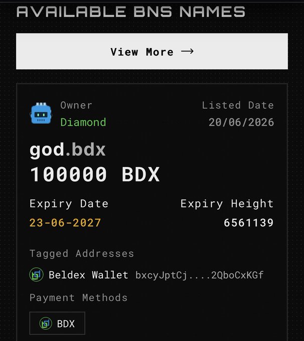 A dark-themed digital interface displaying an available BNS name listing: 'god.bdx' owned by Diamond, priced at 100000 BDX, with an expiry date of 23-06-2027.