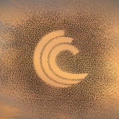 The image shows the BitTorrent logo composed of small particles forming a "C"-shaped swirl against a golden, dust-like background. This visual ties into the post's mention of new momentum across the BitTorrent ecosystem during TRON DeFi Summer, symbolizing the expanding and dynamic nature of the BitTorrent brand within TRON's DeFi growth.