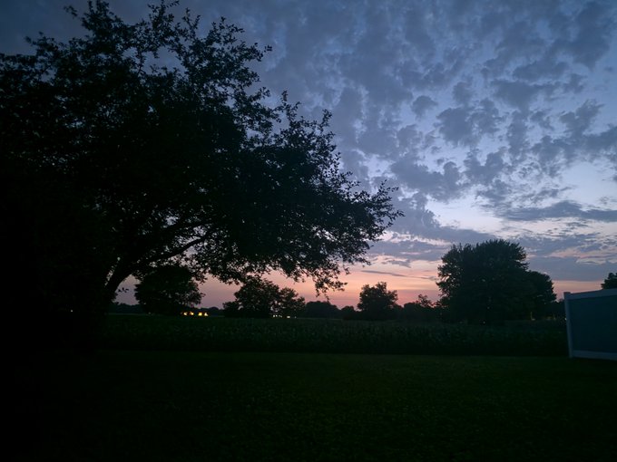 A tranquil twilight landscape featuring silhouetted trees and a grassy field under a cloudy sky with hints of sunset colors on the horizon.