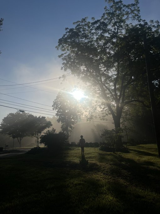 A lone silhouetted figure stands in a foggy, grassy field at sunrise, framed by a large backlit tree.