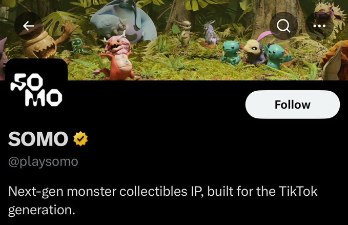 A screenshot of SOMO's (@playsomo) profile page showing their black and white logo and a banner featuring colorful animated monster characters in a jungle setting, with the description "Next-gen monster collectibles IP, built for the TikTok generation."

The image relates to the post by showcasing the SOMO brand and its monster collectibles IP that the author invested in after receiving an airdrop.