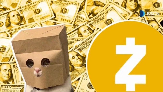 A cat wearing a cardboard box mask sits before a backdrop of $100 bills, with a large Zcash (Z) logo and the Binance logo overlaid, visually reinforcing the "$ZCAT gets scammed to 1B" theme of a meme token associated with Zcash losing value to a billion-dollar scam.
