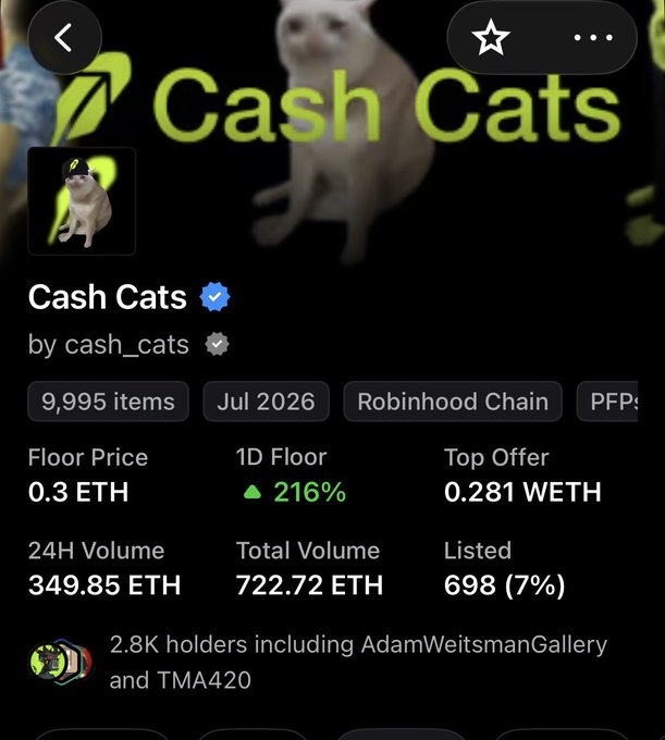 An NFT collection page displays 'Cash Cats' by 'cash_cats', showing a floor price of '0.3 ETH', a '1D Floor' increase of '216%', and a '24H Volume' of '349.85 ETH'.