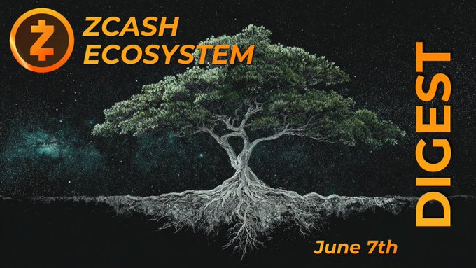 The image features a tree with roots spread out, symbolizing the foundation of the Zcash ecosystem. The text "Zcash Ecosystem" is written above the tree, indicating that this is part of the ecosystem. Below the tree, there are two lines of text discussing the Digest and how it relates to the Zcash Foundation. The image also includes a starry night sky background, which adds depth and context to the overall presentation.