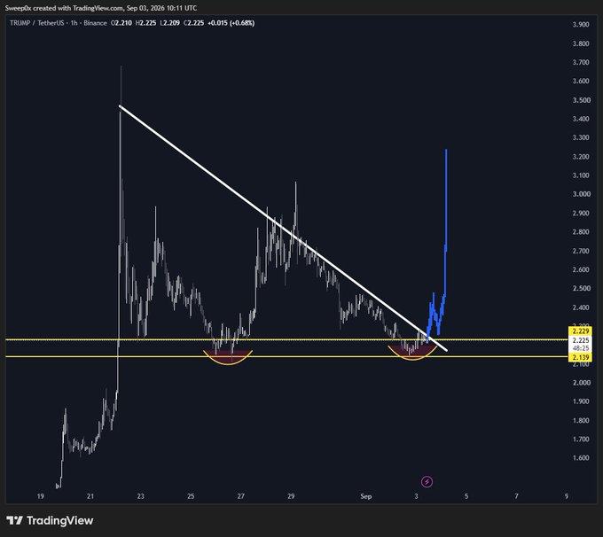 A TradingView chart of TRUMP/TetherUS shows the price forming a clear double-bottom pattern (highlighted by red arcs) around the $2.139–$2.225 support zone before breaking above the descending trendline resistance, illustrating the "perfect entry" setup referenced in the post.