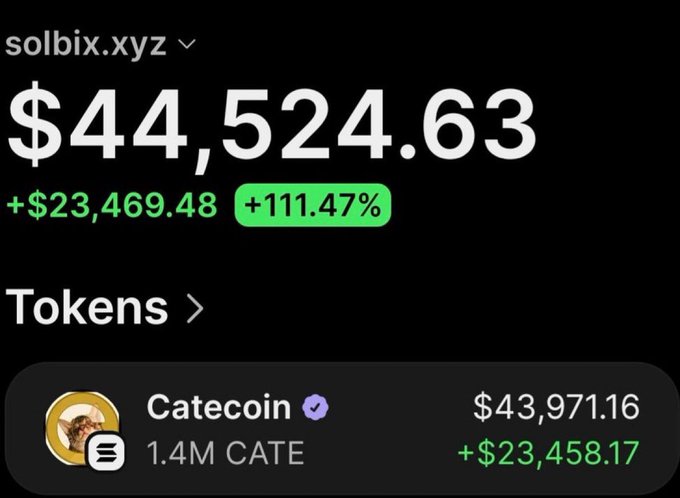 The image displays a crypto wallet tracker screenshot for "solbix.xyz" showing a portfolio value of $44,524.63 (+111.47%), with the primary holding being 1.4M CATE (Catecoin) valued at $43,971.16 (+$23,458.17 gain). The image illustrates the claimed post about turning $1,000 into substantial profits on $CATE, showcasing the wallet's holdings and gains.