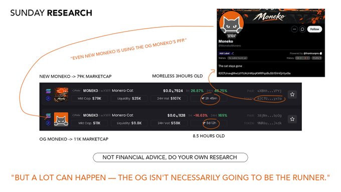 A 'SUNDAY RESEARCH' slide comparing 'NEW MONEKO' and 'OG MONEKO' with the note '*EVEN NEW MONEKO IS USING THE OG MONEKO'S PFP*' and disclaimer 'NOT FINANCIAL ADVICE, DO YOUR OWN RESEARCH.'