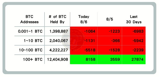 The image is a Bitcoin on-chain data table dated 8/6, showing BTC address distribution by holdings (0.001~1 BTC, 1~10 BTC, 10~100 BTC, and 100+ BTC) and their net changes today, on 8/5, and over the last 30 days. Notably, the 100+ BTC wallet cohort (holding 12,404,908 BTC) shows positive accumulation with +8,158 BTC today, +3,559 on 8/5, and +27,874 over the last 30 days (highlighted in green), while smaller wallet segments show outflows (in red), supporting the post's claim that large BTC whales are actively buying.