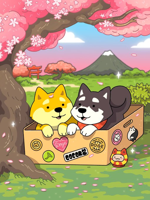A cartoon illustration shows two smiling Shiba Inu dogs in a cardboard box labeled 'COCOR' with stickers, sitting under a pink cherry blossom tree with a torii gate and Mount Fuji in the background.