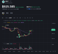 A cryptocurrency price chart showing the token GEYC at $925.585 with candlestick price movements.