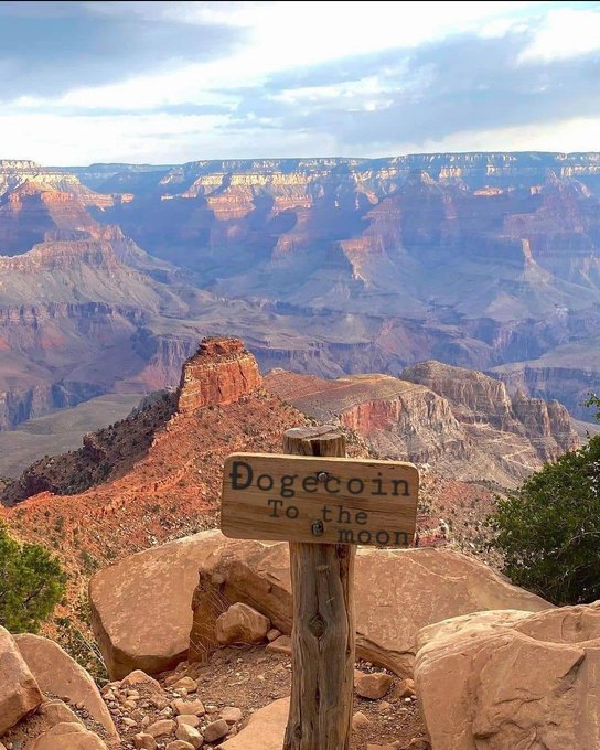 A wooden sign reading 'Dogecoin To the moon' is mounted on a post overlooking the Grand Canyon.