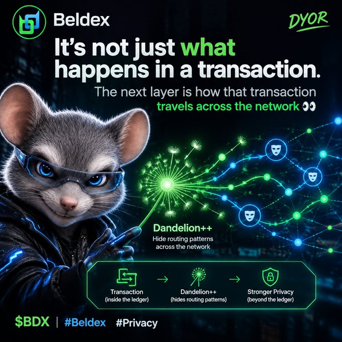 A promotional graphic for "Beldex" ($BDX) featuring a cat in futuristic goggles, highlighting "Dandelion++" privacy features with the tagline "It's not just what happens in a transaction" and "DYOR" in the corner.