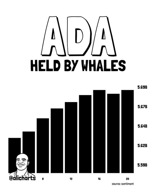 A black-and-white bar chart from Santiment titled "ADA HELD BY WHALES" shows the amount of Cardano held by large wallet holders increasing from roughly 5.62B to 5.69B over a two-week period (around dates 8 through 20). The upward trend visually supports the post's claim that whales have accumulated over 30 million $ADA in the past week, suggesting positioning for a significant move.
