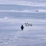 The image features a penguin walking across an icy, snowy field with the words "You" written above its head. The penguin appears to be alone in this vast, frozen landscape. The surrounding area seems to be covered in snow, creating a stark contrast between the penguin and its environment.