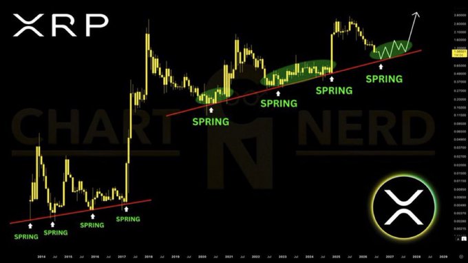 This XRP chart displays a recurring pattern labeled "SPRING" at key historical support levels, suggesting a potential for explosive growth if the trend continues. The chart also features the XRP logo and the watermark "CHART NERD".