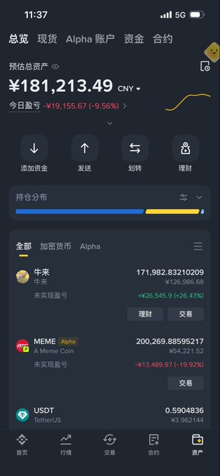 The image shows a cryptocurrency portfolio dashboard in Chinese displaying a total estimated asset value of ¥181,213.49 CNY, down ¥19,155.67 (-9.56%) for the day, with holdings including 牛来 (171,982.83210209), MEME (200,269.88595217, down 19.93%), and USDT. The screenshot illustrates the poster's reported portfolio drop from 280k to 180k, visually confirming the significant 9.56% daily loss in their crypto positions.