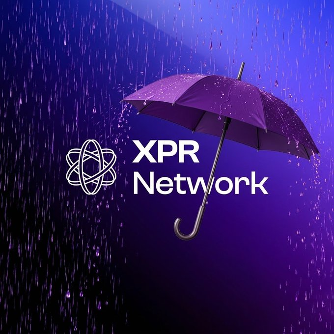 Digital illustration featuring a purple umbrella shielding from rain alongside the white 'XPR Network' logo and atomic symbol.