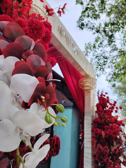 A decorative archway adorned with lush red and white orchids and pink drapes, with a glimpse of trees in the background.