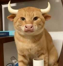 A humorous edited image of a brown cow with cartoonish bull horns digitally added to its head, sitting indoors near a roll of paper towels.