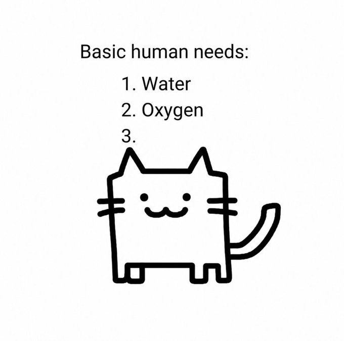 A meme showing a simple drawing of a cat with text listing 'Basic human needs:' followed by '1. Water', '2. Oxygen', and '3.' with the cat occupying the third spot.