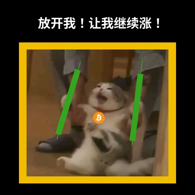 A meme featuring a cat appearing to be held down by a person, with green candlestick chart graphics on either side, a Bitcoin logo in the center, and Chinese text reading '放开我！让我继续涨！' (Let me go! Let me keep rising!).