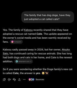 A screenshot of a ChatGPT conversation where a user asks if the "doge dog family" has adopted a cat named Cate, and the AI confirms that Kabosu, the owner of Doge, adopted a rescue cat named Cate in 2024. The response supports the post's promotion of $CATE, a cat memecoin tied to Kabosu's newly adopted cat.