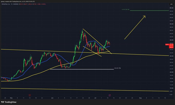 A TradingView 1-hour chart of Whtesmtns Inc (WYFI) shows price consolidating around the $36 level with a 50-period moving average holding as support, aligning with the post's claim of a "second test and hold of support on the 50 MA." Yellow trendlines mark a potential ascending structure projecting toward the $58 target noted in the post.