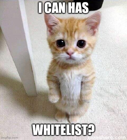The classic 'I Can Has Cheezburger?' meme featuring a small orange tabby kitten standing on its hind legs, with text reading 'I CAN HAS' and 'WHITELIST?'