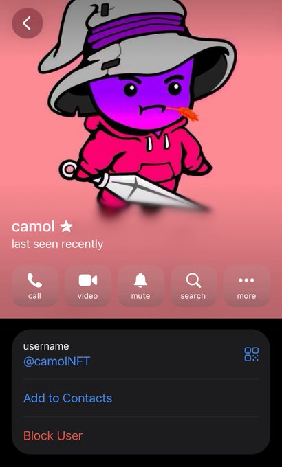 A Telegram profile screen displays a purple cartoon character wearing a hat and holding an umbrella, with the username '@camoINFT' and the display name 'camo'.