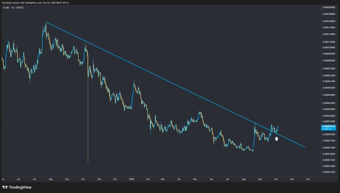 A TradingView candlestick chart for DOGEUSD showing a long-term downward trajectory from June to October, featuring a descending blue trendline and recent price action around the 0.00002000 level.