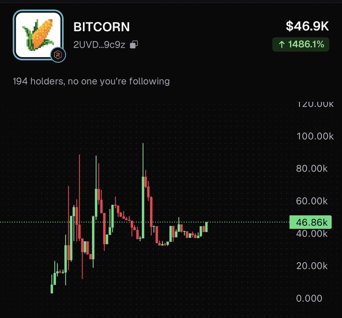 A cryptocurrency price chart for the token BITCORN (2UVD...9c9z), showing a current price of $46.86k and a significant gain of 1486.1%, with 194 holders noted, displayed as red and green candlesticks.
