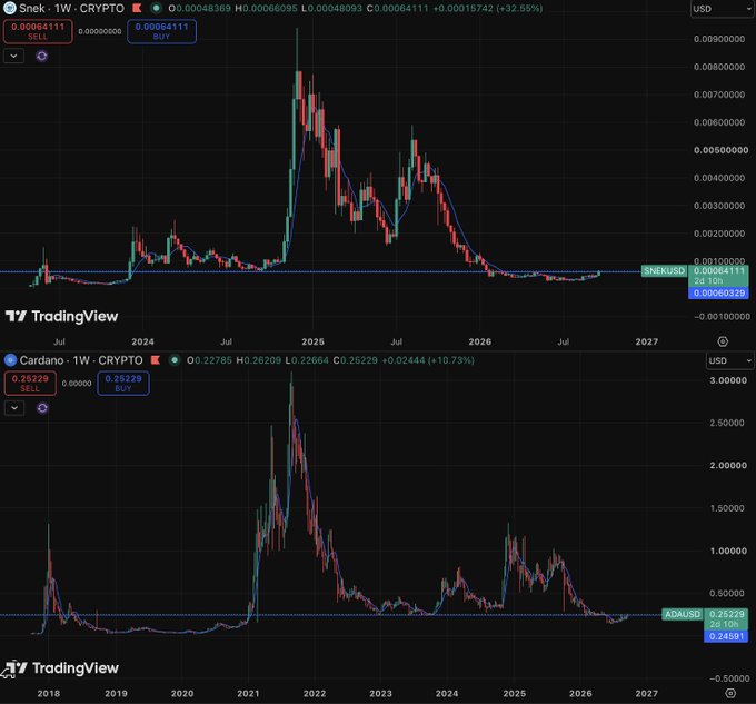 Two TradingView weekly crypto charts comparing Snek (SNEK/USD) at 0.00064 and Cardano (ADA/USD) at 0.25229, both showing significant historical peaks around 2021.