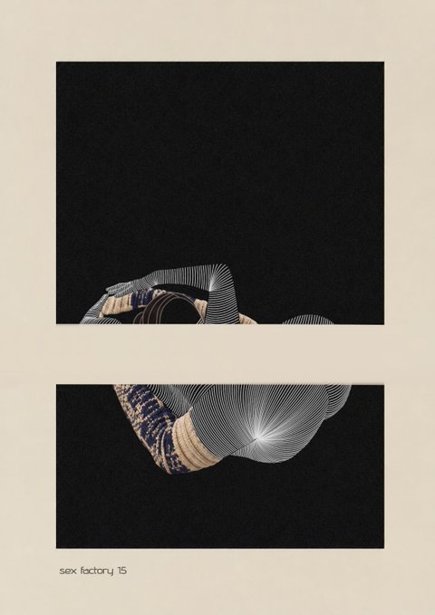 A page titled 'sex factory 15' showing two abstract images of sculptural or organic forms with black and white striped patterns on a dark background, presented in a book or catalog format.