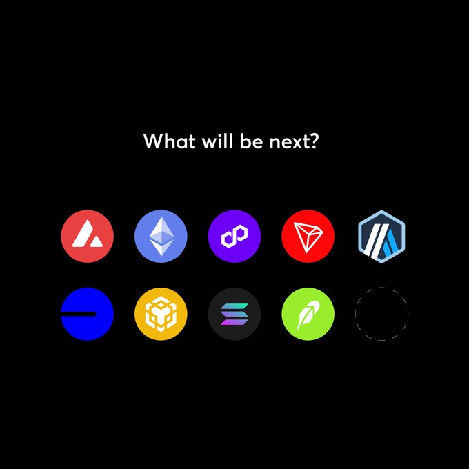 A black screen with white text asking 'What will be next?' above a grid of nine cryptocurrency and blockchain project logos including Avalanche, Ethereum, Polygon, Tron, and others.