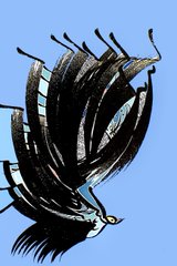 A fantasy illustration of a dark winged creature, possibly a dragon or wyvern, diving downward against a plain blue background.