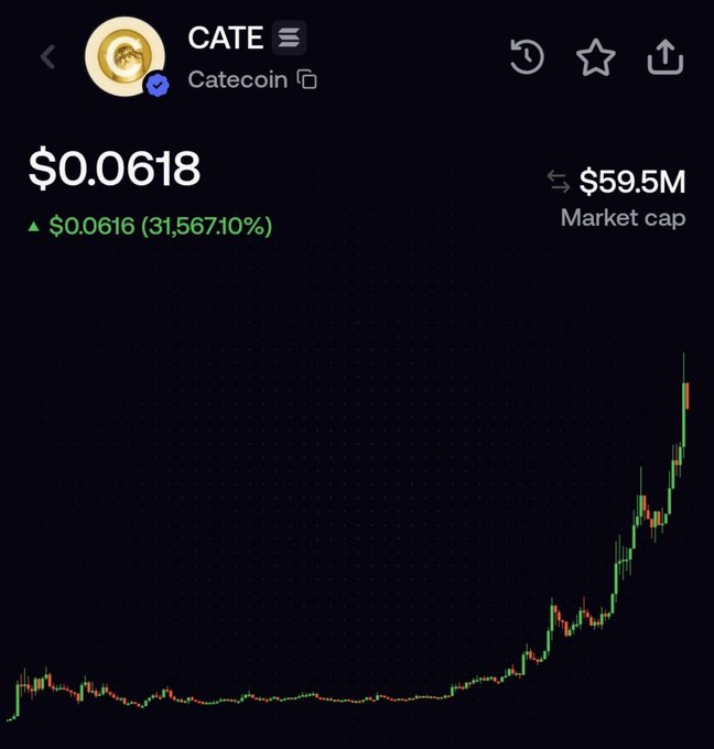 A cryptocurrency price chart for Catecoin (CATE) showing a current price of $0.0618 with a market cap of $59.5M and a massive 31,567.10% gain, displayed on a dark interface.