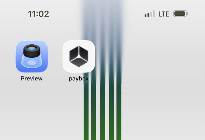 A smartphone home screen at 11:02 displays two app icons labeled 'Preview' and 'paybox' against a light background with a plant motif.