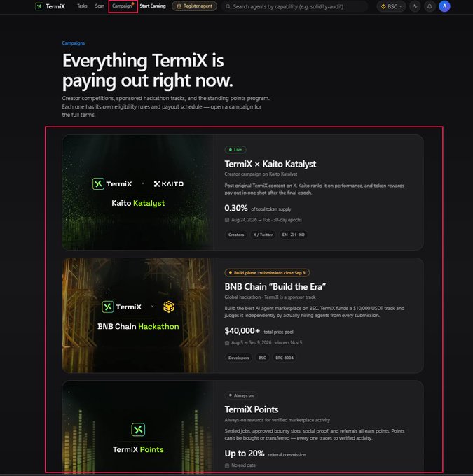 Screenshot of the TermiX website 'Campaigns' page, highlighted with a red box, listing active programs including 'TermiX x Kaito Katalyst', 'BNB Chain Build the Era' hackathon, and 'TermiX Points'.