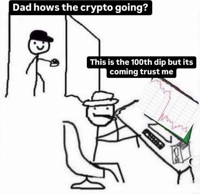 A meme featuring stick-figure drawings where a son asks 'Dad hows the crypto going?' and the dad at a computer responds 'This is the 100th dip but its coming trust me' next to a sharply declining red line graph.