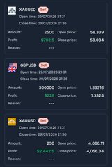 The image displays a cryptocurrency trading dashboard showing positions for SARGUSD, GBPRUSD, and SARGUSD with a Bitcoin (BTC) flag icon, featuring a notable long position of 300,000 units in GBPRUSD with an open price of 1.33316 and close price of 1.33240, resulting in a profit of $228, likely used to illustrate Bitcoin's recent price dip.
