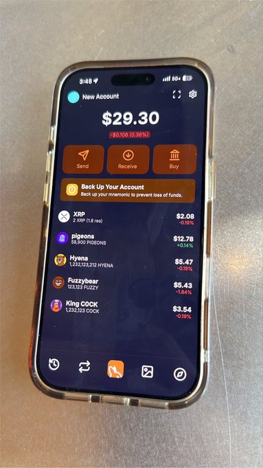 A smartphone displays a crypto wallet app showing a balance of $29.30 (-$0.108, -0.36%) with holdings in XRP ($2.08), Pigeons ($12.78), Hyena ($5.47), Fuzzybear ($5.43), and King COCK ($3.54).