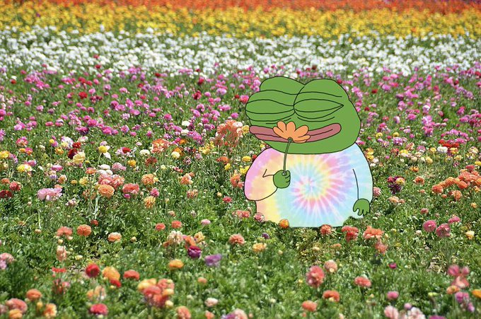 A cartoon frog character with closed eyes, wearing a tie-dye shirt and holding a flower, superimposed over a vibrant field of colorful flowers.