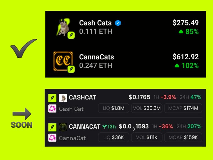 A cryptocurrency comparison graphic on a bright green background shows Cash Cats at $275.49 (+85%) and CannaCats at $612.92 (+102%) with checkmarks, while a 'SOON' section lists CASHCAT and CANNACAT tokens with their market data.