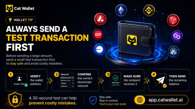 A Cat Wallet informational graphic titled 'ALWAYS SEND A TEST TRANSACTION FIRST' featuring a black wallet icon surrounded by cryptocurrency logos (BNB, AVAX, ETH, OP, AR, etc.) with four steps: Verify, Confirm, Make Sure, and Then Send.
