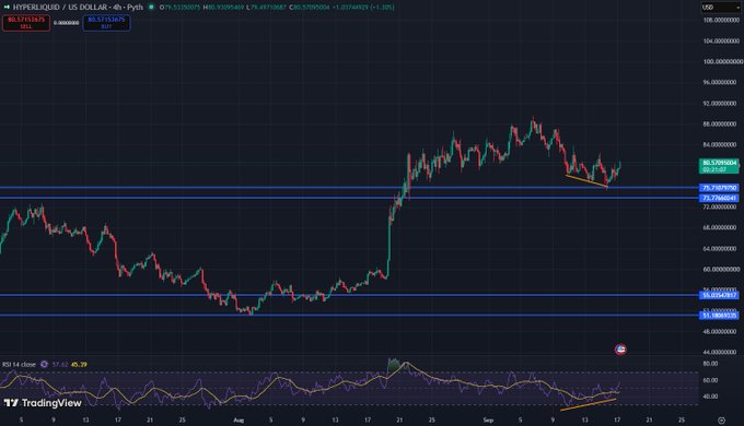 The image displays a TradingView chart for Hyperliquid (HYPE/USD) showing the price trading around $80.51 with technical indicators including an ascending triangle pattern forming near recent highs, supporting the post's anticipation of a new all-time high breakout.