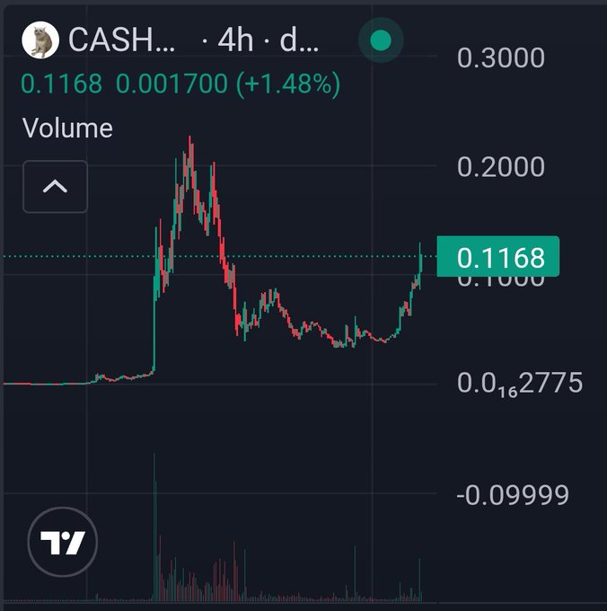 A cryptocurrency price chart for CASH (CASHCAT) on a 4-hour timeframe shows the token trading at $0.1168, up 1.48% (+$0.0017), following a sharp spike from around $0.06 to a peak near $0.25 before settling into its current recovery—visually reinforcing the post's claim that CASHCAT has rebounded back above $100M in market cap.