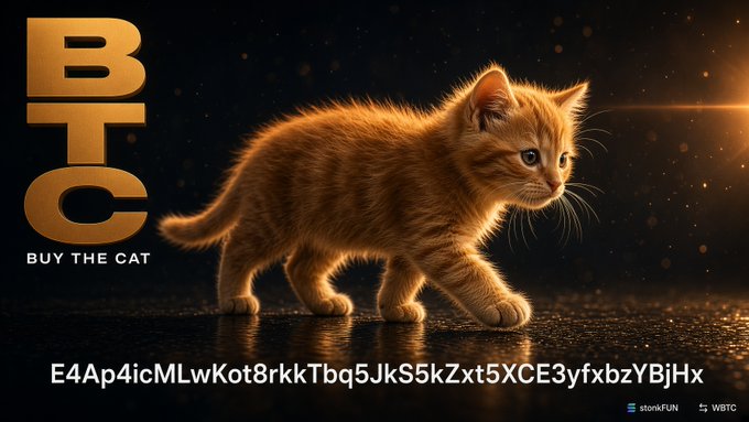 A promotional image for a cryptocurrency called 'BTC' (Buy The Cat) featuring an orange tabby kitten walking in golden light, a long alphanumeric contract address 'E4Ap4icMLwKot8rkkTbq5JkS5kZxt5XCE3yfxbzYBjHx', and stonksFUN branding.